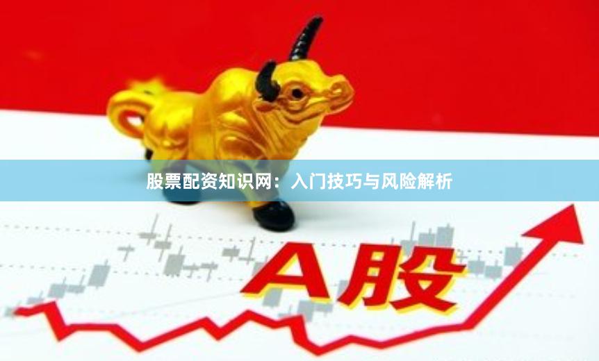 股票配资知识网：入门技巧与风险解析