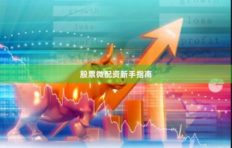 股票微配资新手指南