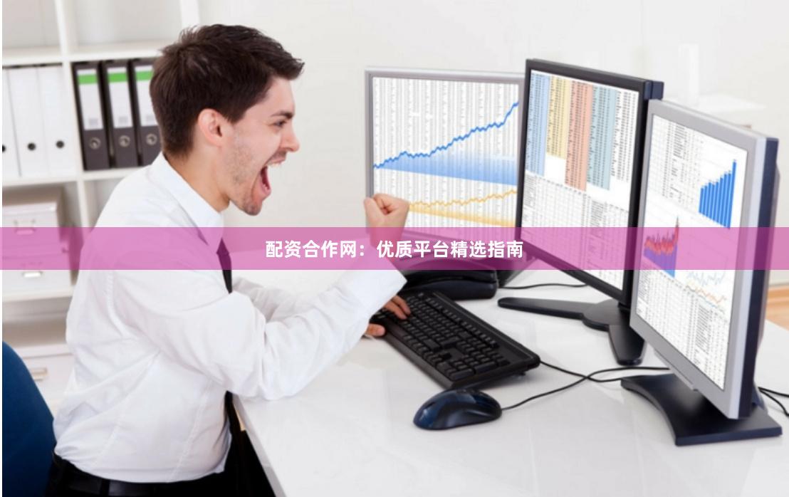 配资合作网：优质平台精选指南